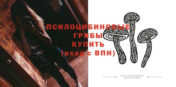 ПСИЛОЦИБИНОВЫЕ ГРИБЫ Аркадак