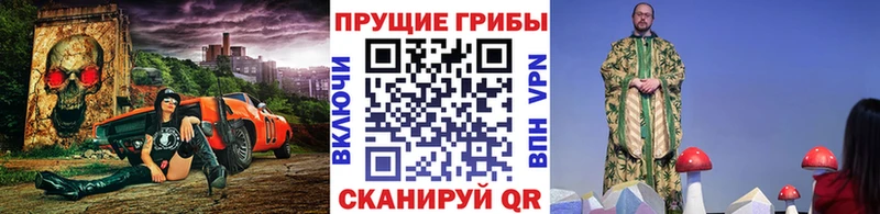 shop Telegram  мега зеркало  Зеленокумск  Псилоцибиновые грибы ЛСД 